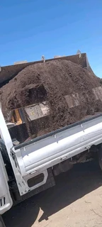 Roll on lawn  Kikuyu grass