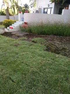 Delivery and installation national grass
