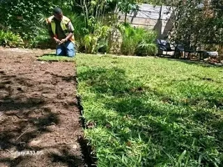 We have stock of the roll on lawn Kikuyu grass