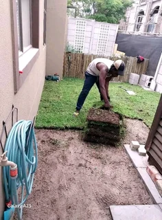 We have stock of the roll on lawn Kikuyu grass