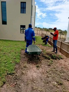 We have stock of the roll on lawn Kikuyu grass