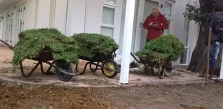 We have stock of the roll on lawn Kikuyu grass