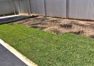 We have stock of the roll on lawn Kikuyu grass