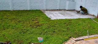 Roll on lawn Kikuyu grass and buffalo grass