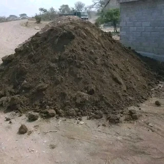 Roll on lawn Kikuyu grass and buffalo grass