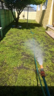 Roll on lawn Kikuyu grass and buffalo grass