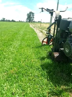 Roll on lawn Kikuyu grass and buffalo grass