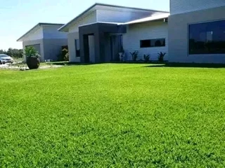 Roll on lawn Kikuyu grass