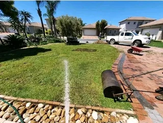 Roll on lawn Kikuyu grass