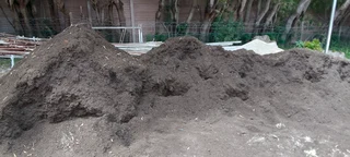 Roll on lawn Kikuyu grass 100% weed free