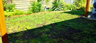 We supply and installation buffalo grass