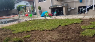 We supply and installation buffalo grass