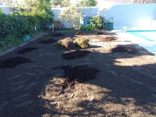 We supply and installation buffalo grass