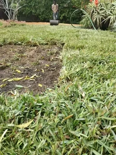 We supply and installation buffalo grass