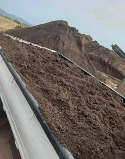 We supply and installation buffalo grass