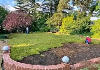 We supply and installation buffalo grass