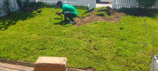 We have price of Lm Berea grass and compost