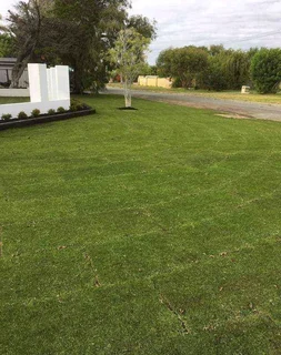 We have price of Lm Berea grass and compost