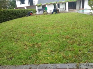 We have price of Lm Berea grass and compost