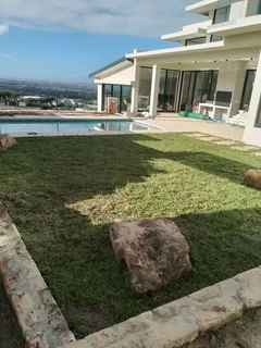 Delivery and installation Kikuyu grass and buffalo grass