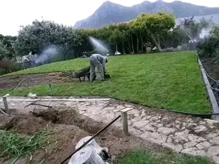 Delivery and installation Kikuyu grass and buffalo grass