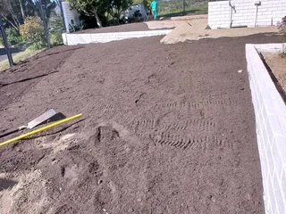 Delivery and installation Kikuyu grass and buffalo grass