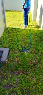 Delivery and installation Kikuyu grass and buffalo grass