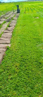 Supply and installation Kikuyu grass and top soil weed free