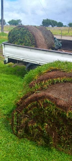 Supply and installation Kikuyu grass and top soil weed free