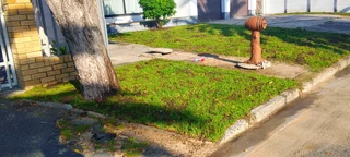 Supply and installation Kikuyu grass and top soil weed free