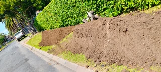 Supply and installation Kikuyu grass and top soil weed free