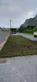 Supply and installation Kikuyu grass and top soil weed free