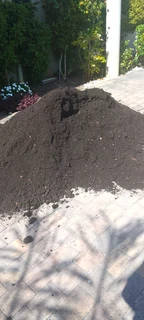 Supply and installation Kikuyu grass and top soil weed free