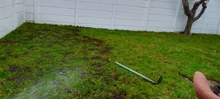 Supply and installa Lm Berea grass