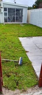 Supply and installa Lm Berea grass