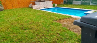 Roll on lawn Lm Berea grass