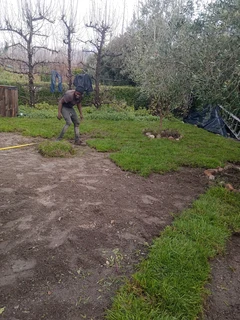 Delivery and installa of Lm Berea grass