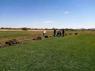 We have buffalo grass and Lm Berea grass