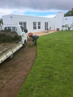 Roll on lawn Kikuyu grass