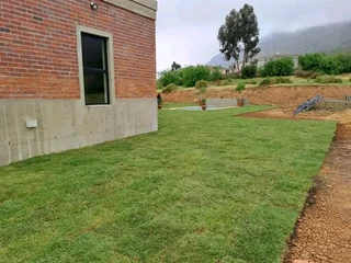 Roll on lawn Kikuyu grass