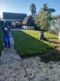 Roll on lawn Kikuyu grass