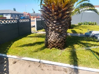 Roll on lawn Kikuyu grass