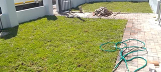 Roll on lawn Kikuyu grass