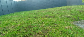 Roll on lawn Kikuyu grass