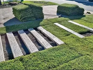 Roll on lawn Kikuyu grass