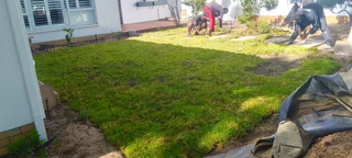 Delivery and installa Lm Berea grass