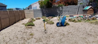 Delivery and installa Lm Berea grass