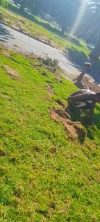 Delivery and installa Lm Berea grass