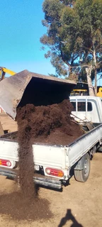 Delivery and installa Lm Berea grass