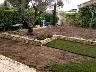 Roll on lawn Lm Berea grass